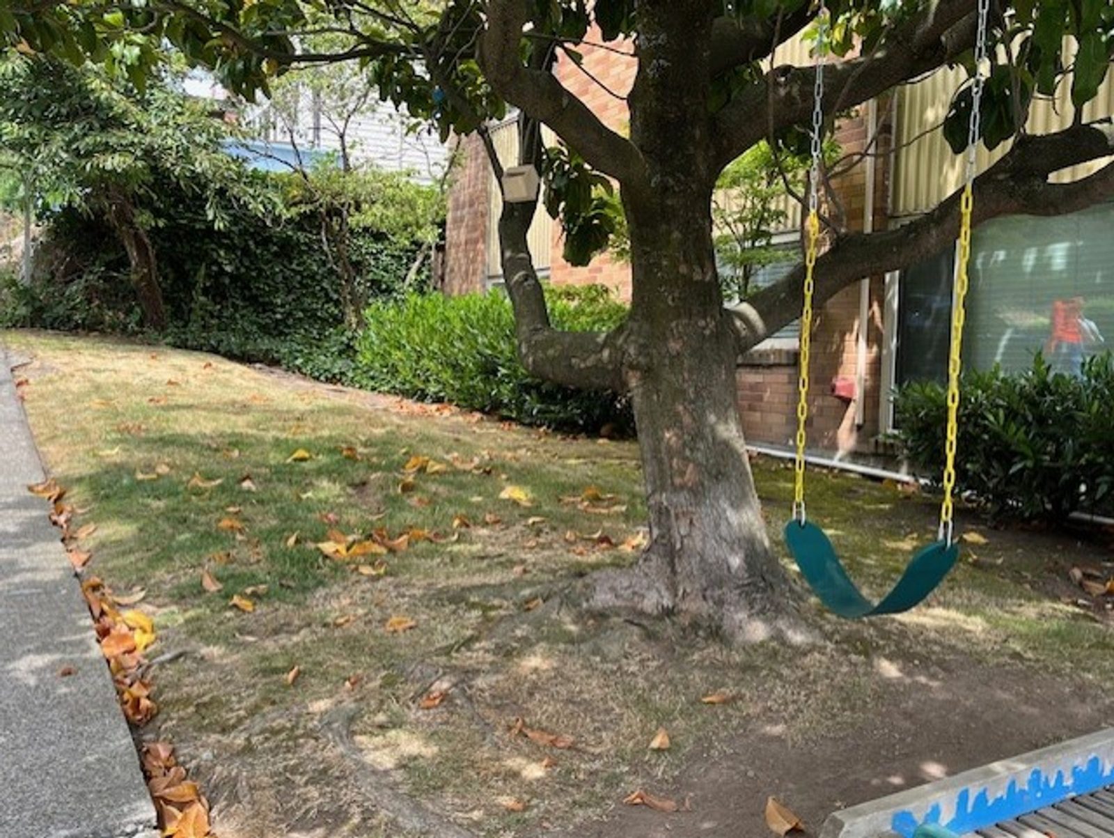 Planted side area with a tree and swing