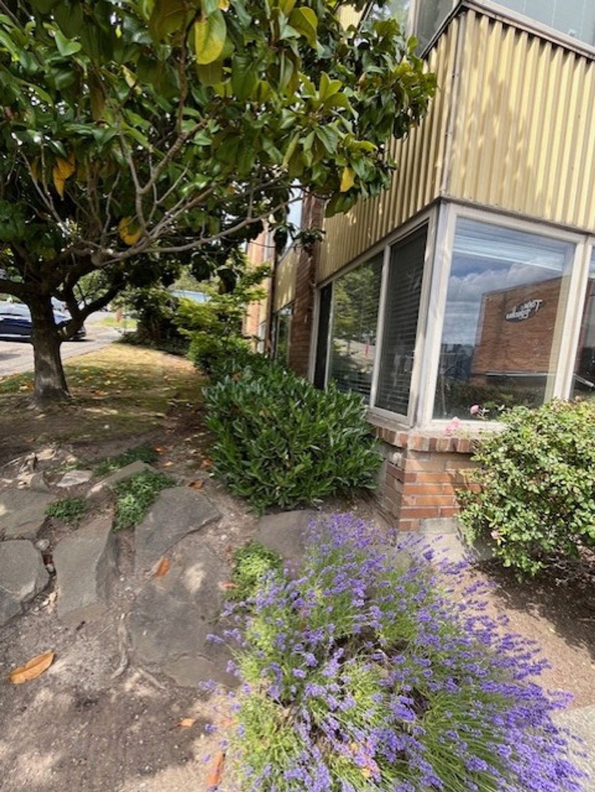Landscaping beside the building